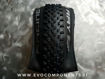 Immagine di Copertone SCHWALBE RACING RAY 29x2.25TL-E Evo Line SnakeSkin SuperGround Addix SpeedGrip