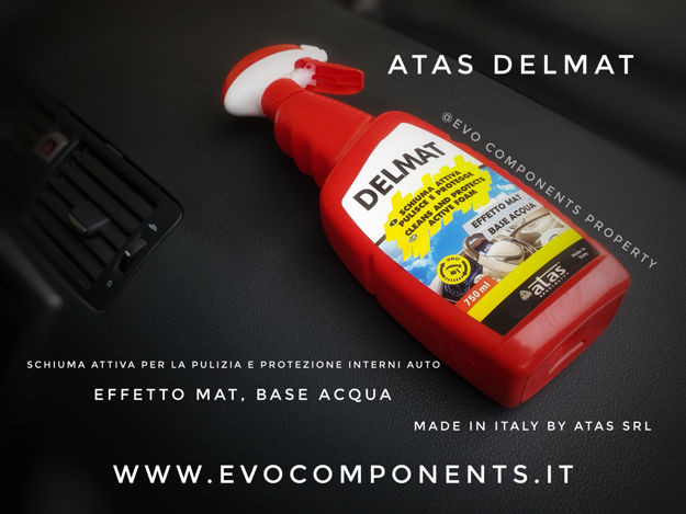 Evocomponents. Atas Delmat schiuma attiva interni auto 750ml