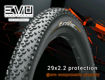 Immagine di Gomma Continental Race King Protection 29x2.20 Black Chili Compound