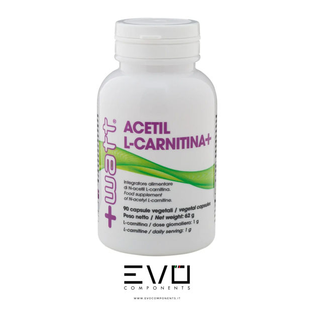 Immagine di +WATT Acetil L-Carnitina+