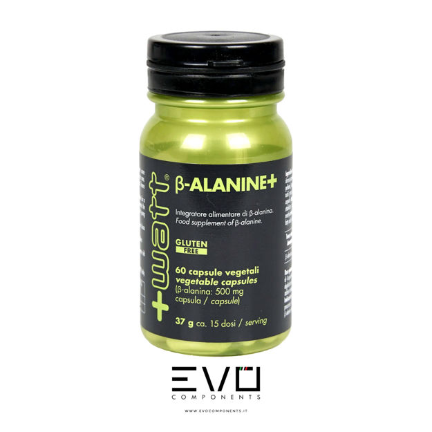 Immagine di +WATT Beta-Alanine+