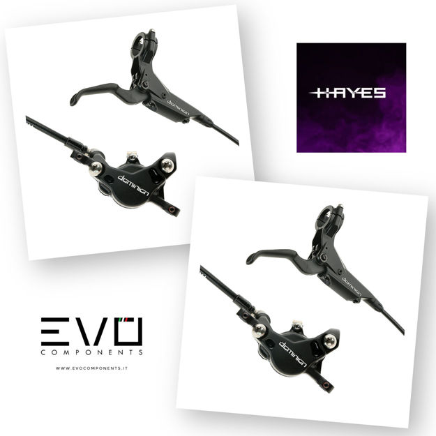 Immagine di HAYES DOMINION T2 2 PISTONI COPPIA FRENI