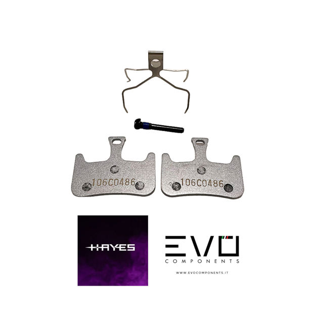 Immagine di Pastiglie Freno Hayes Dominion T2