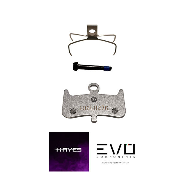Immagine di Pastiglie Freno Hayes Dominion T4
