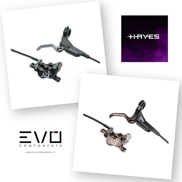 Immagine di HAYES DOMINION A4 4 PISTONI COPPIA FRENI IDRAULICi