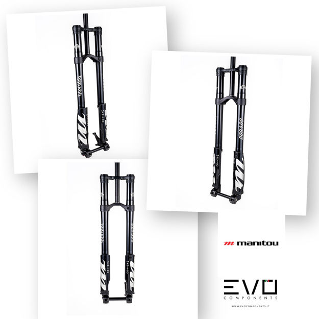 Immagine di MANITOU DORADO EXPERT FORCELLA