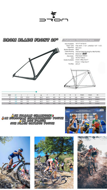 Immagine di DROM BIKES BLADE FRONT SUSPENSION 29"