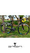 Immagine di DROM BIKES LA FEROCE